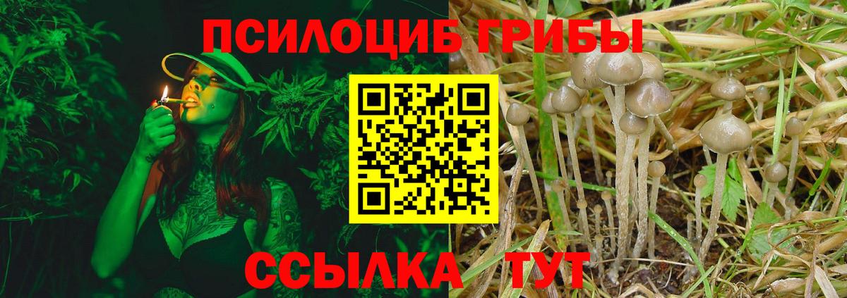 Галлюциногенные грибы Cubensis  Галлюциногенные грибы Psilocybine cubensis  Вход с VPN  Ростов-на-Дону 
